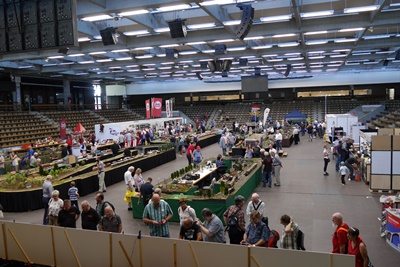 EWS Arena