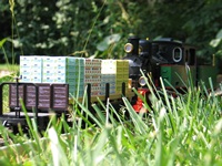 Frank S mit Güterwagen