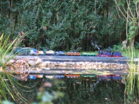 Nicki S mit Güterzug