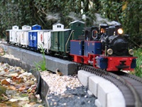 Nicki S mit Güterzug