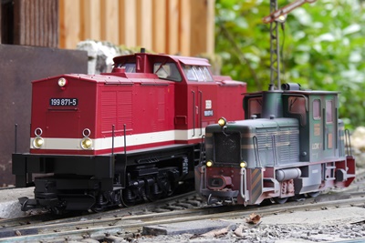 Harzkamel und Schöma