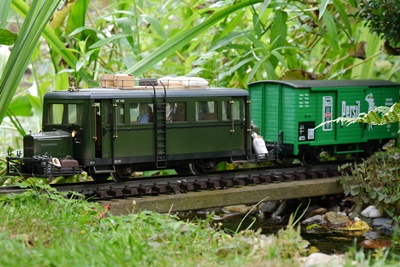 Schweineschnäuzchen